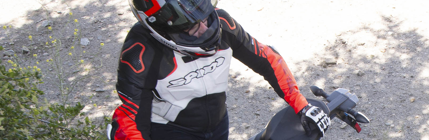 Vendite Spidi -Vendite Spidi 未标题 1